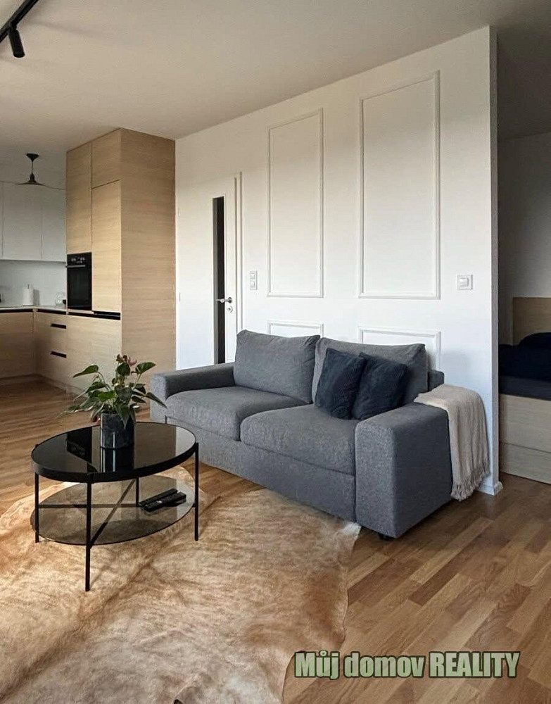 Pronájem bytu 1+kk 47 m² — photo 2