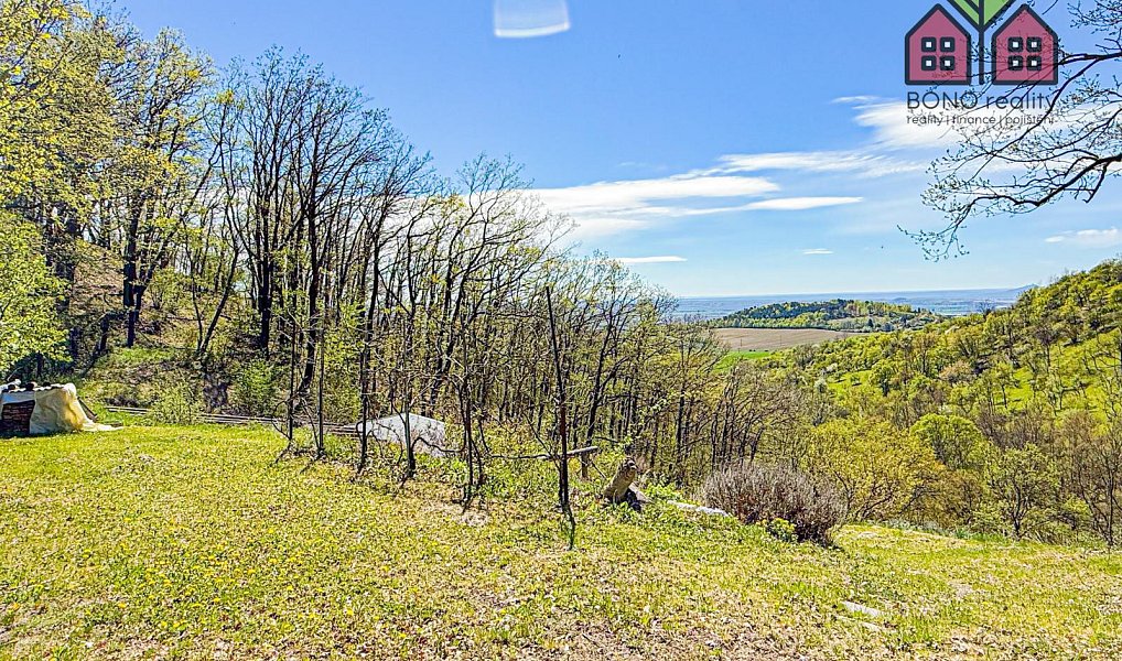 Prodej zahrady 4 999 m², Žitenice – náhled fotky 8