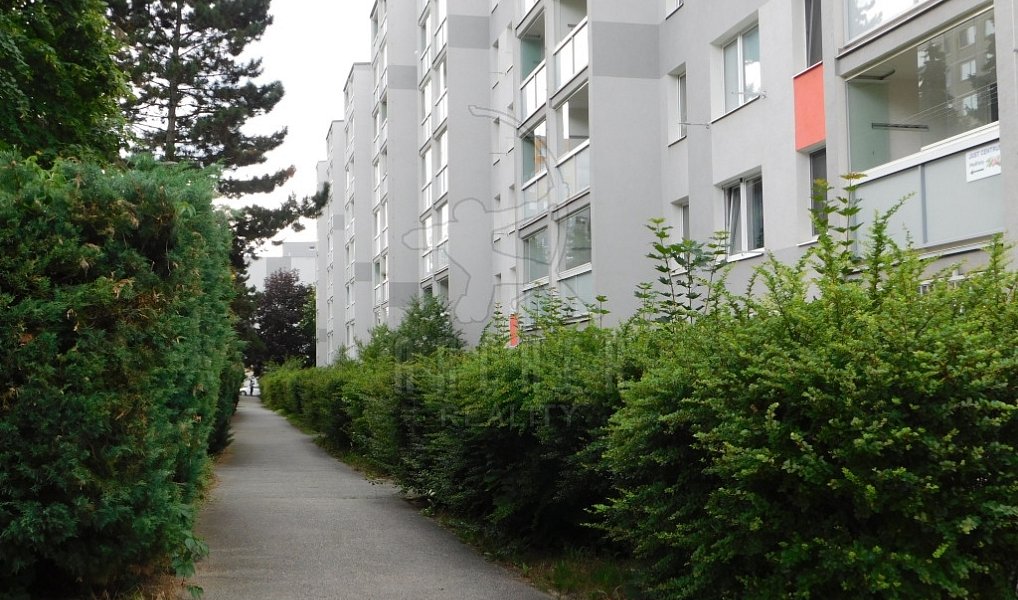 Prodej bytu 3+1 75 m², Praha – náhled fotky 3