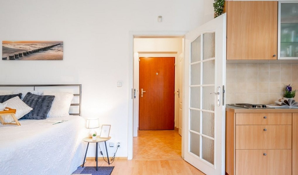 Pronájem bytu 1+kk 33 m², Praha – náhled fotky 6