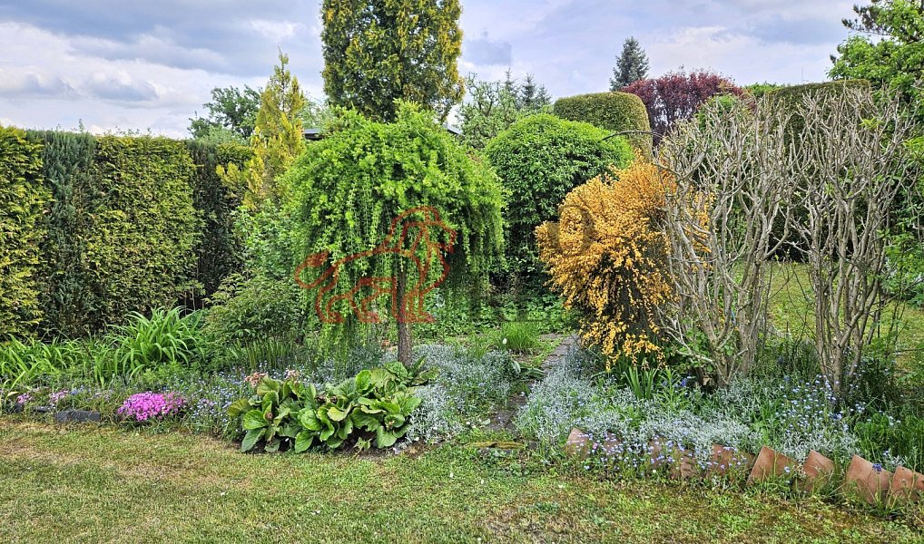 Prodej chaty/chalupy 11 m² s pozemkem 300 m², Šenov u Nového Jičína – náhled fotky 8