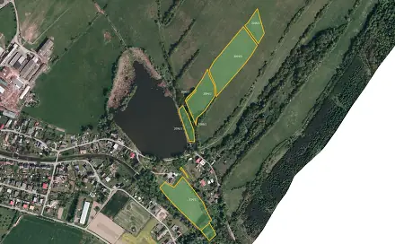 Prodej louky 64 132 m², Město Albrechtice, okres Bruntál