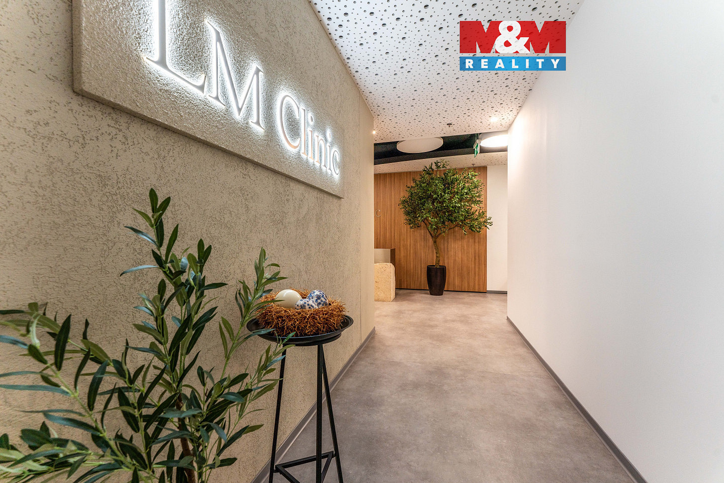Pronájem obchodních prostor 25 m²