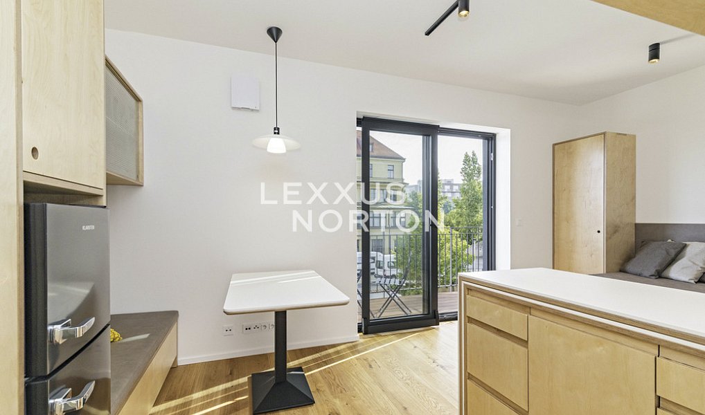 Pronájem bytu 1+kk 27 m², Praha – náhled fotky 4