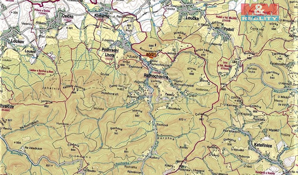 Prodej louky 510 m², Rajnochovice – náhled fotky 5