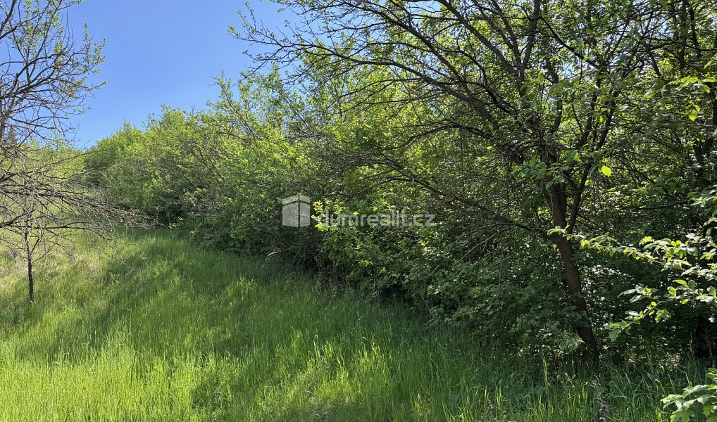 Prodej louky 5 056 m², Uherské Hradiště – náhled fotky 3