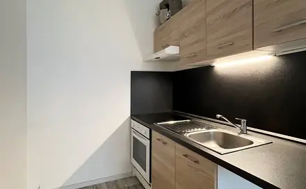 Pronájem bytu 2+kk 40 m², Josefa Ševčíka, Most