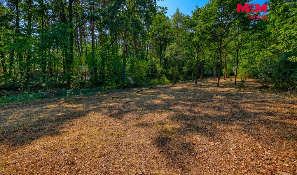 Prodej zahrady 2 248 m², Velký Bor – náhled fotky 7