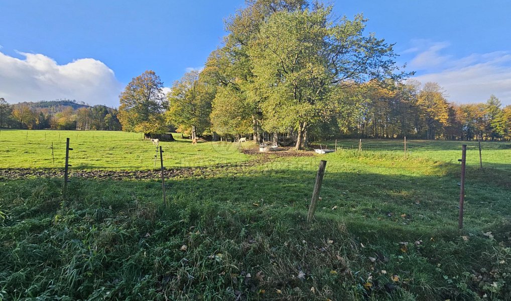 Prodej pozemku 2 133 m², Zlaté Hory – náhled fotky 2