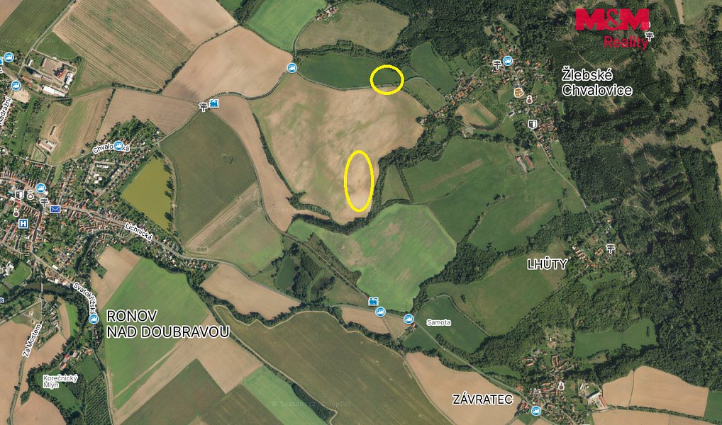 Prodej pole 10 056 m², Žlebské Chvalovice – náhled fotky 11