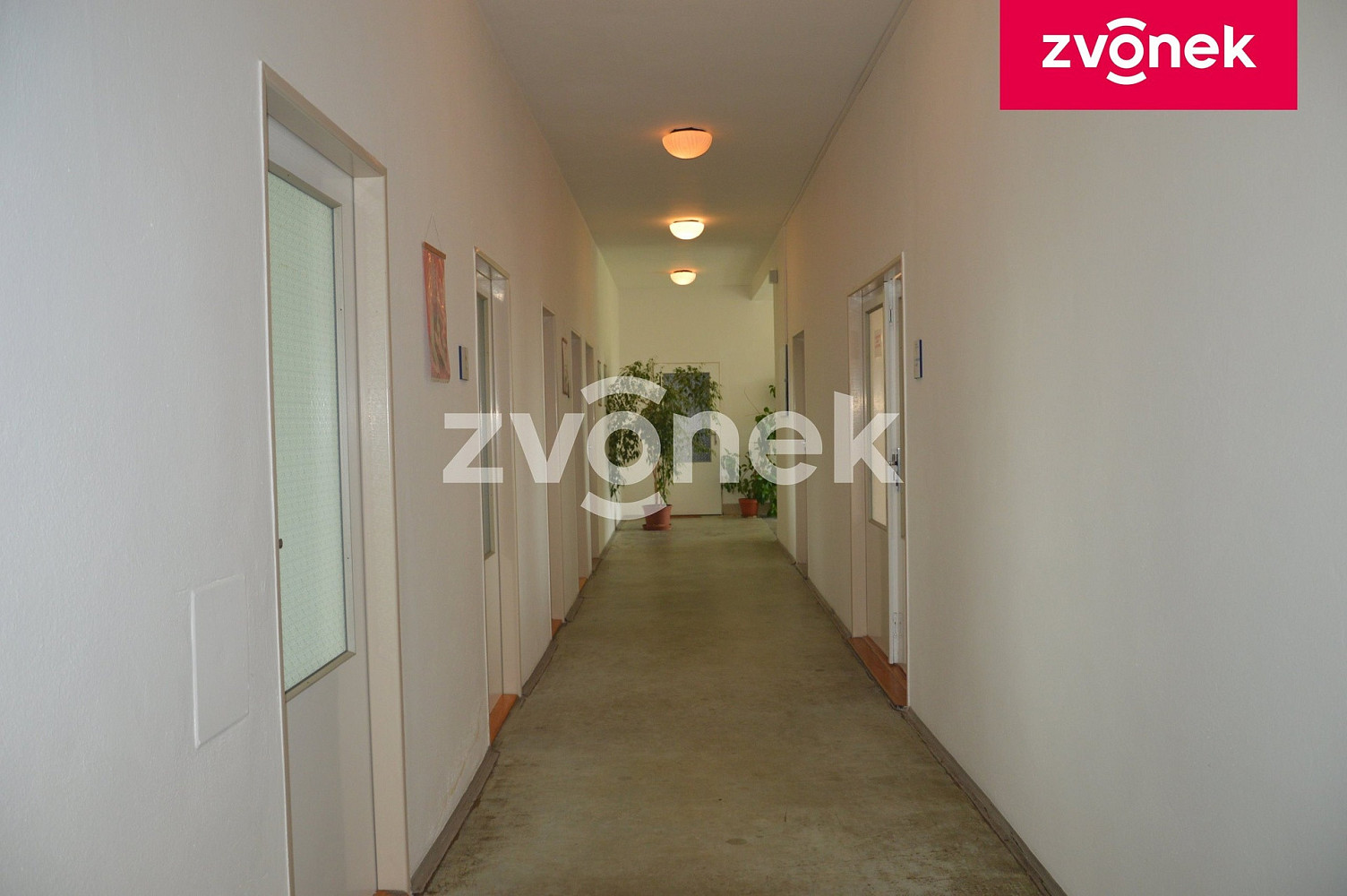 Pronájem obchodních prostor 270 m² – fotografie 4
