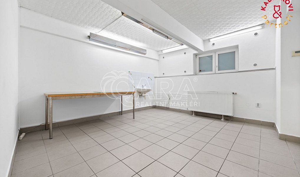 Prodej obchodních prostor 172 m², Brno – náhled fotky 7