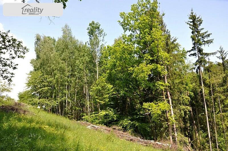 Prodej lesa 11 720 m²