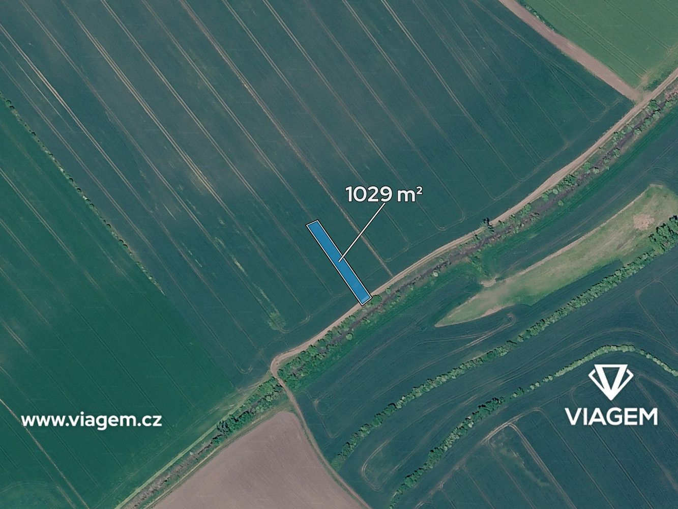 Prodej pole 343 m² — photo 2