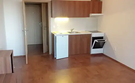 Pronájem bytu 1+kk 33 m²