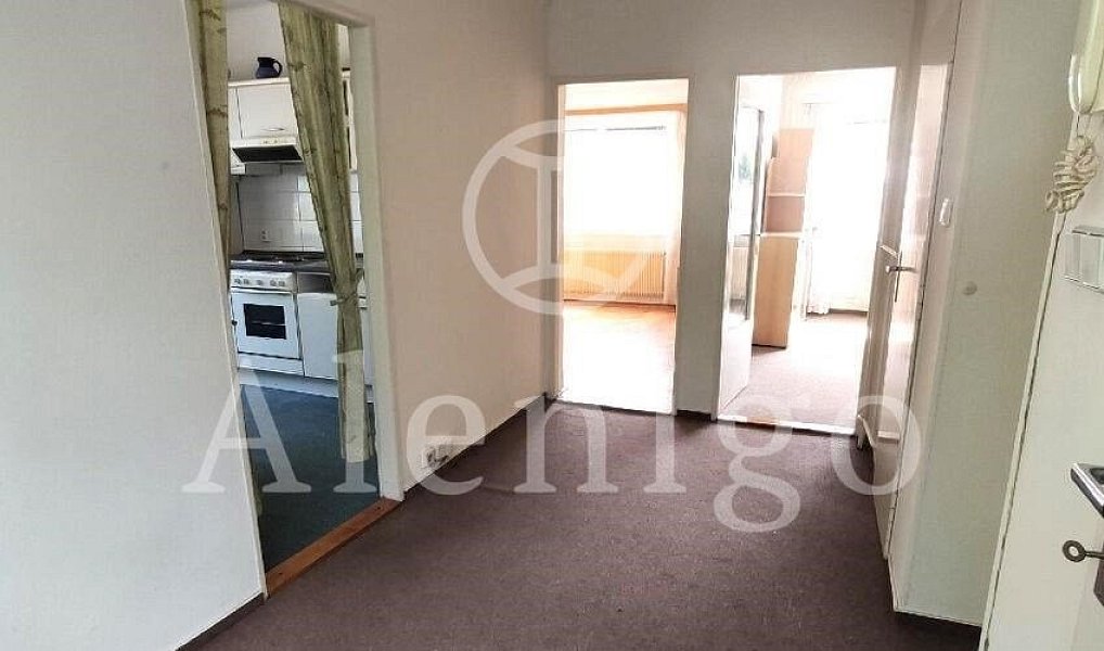 Prodej domu 275 m² s pozemkem 676 m², Praha – náhled fotky 6