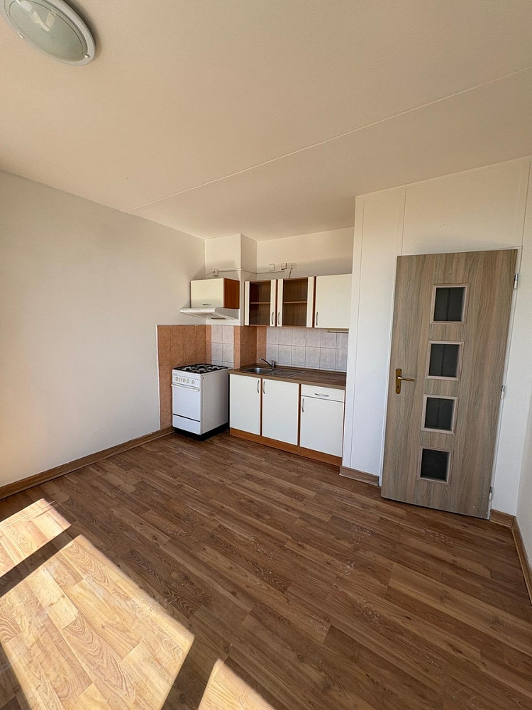 Pronájem bytu 1+1 54 m²