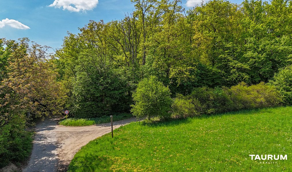 Prodej lesa 6 490 m², Petrov – náhled fotky 8