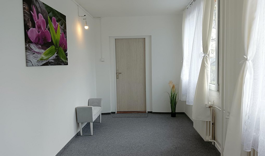 Pronájem pokoje 91 m², Praha – náhled fotky 11