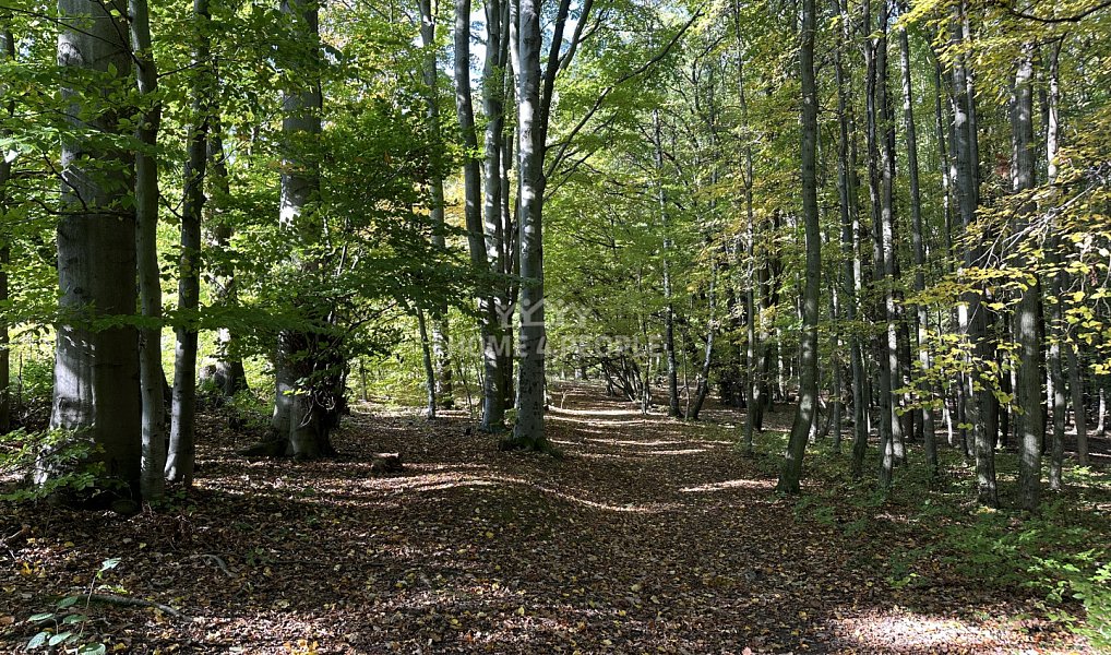 Prodej stavebního pozemku 1 244 m², Černé Voděrady – náhled fotky 14