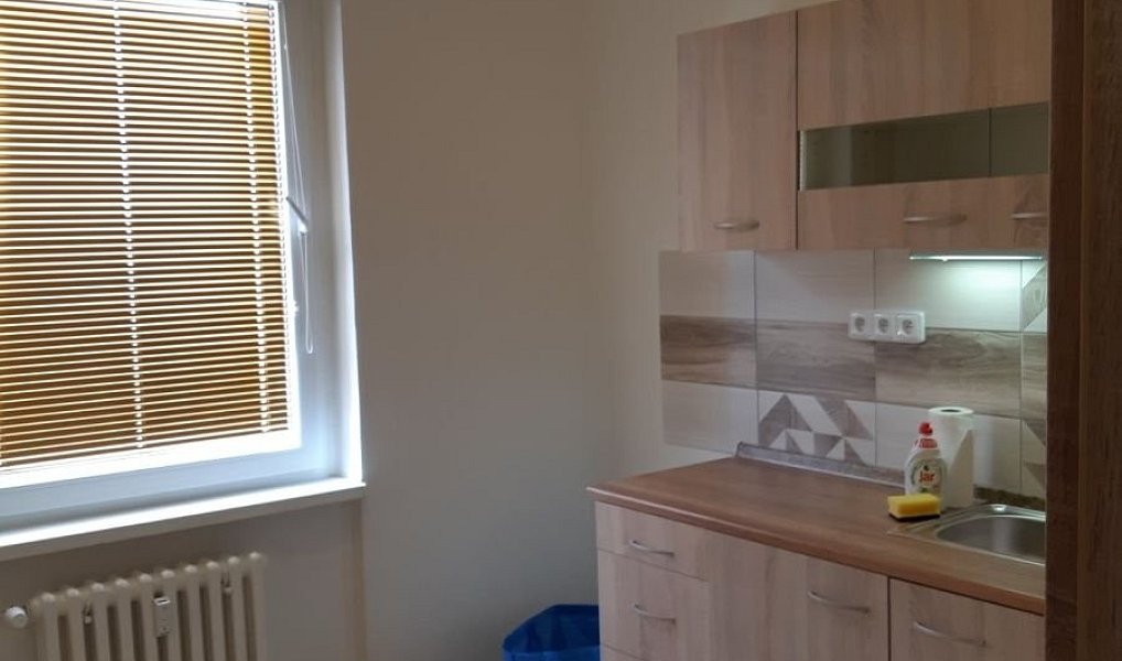 Prodej bytu 2+1 52 m², Praha – náhled fotky 15
