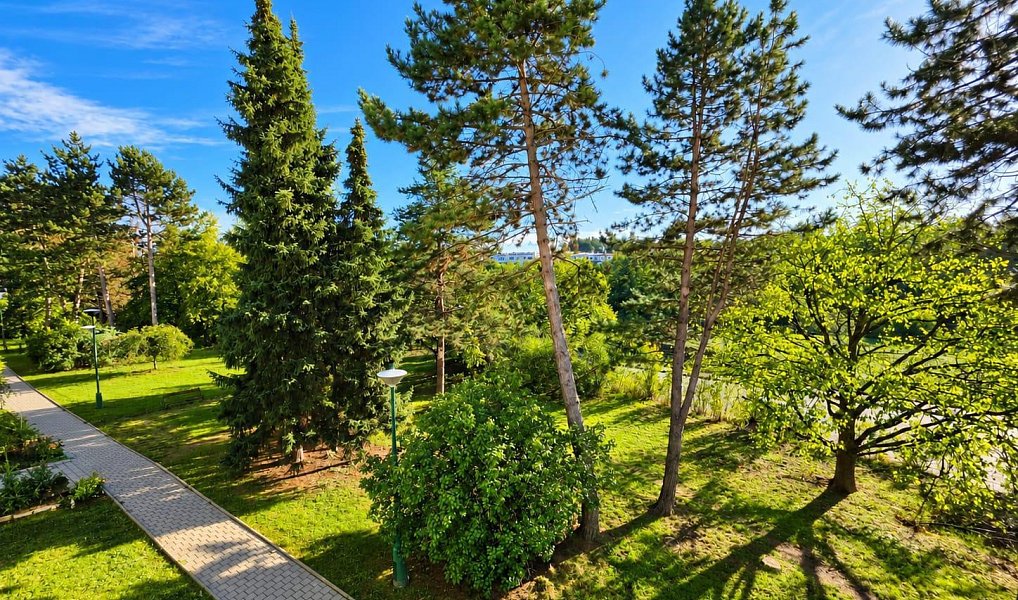 Prodej bytu 1+1 33 m², Třebíč – náhled fotky 16