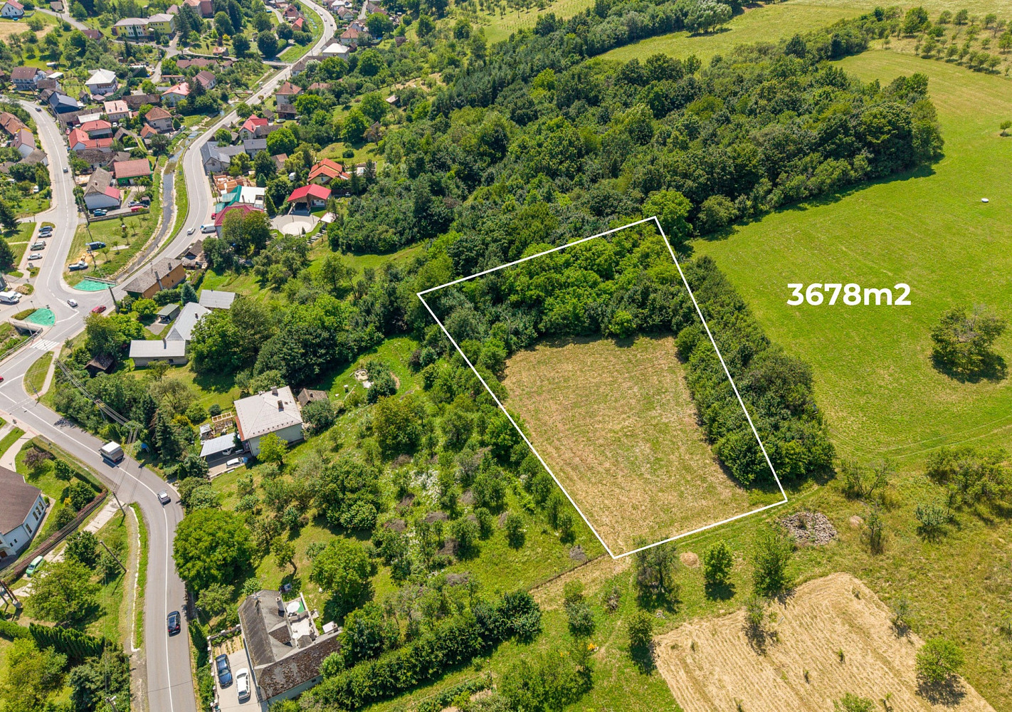 Prodej louky 3 678 m² – fotografie 3
