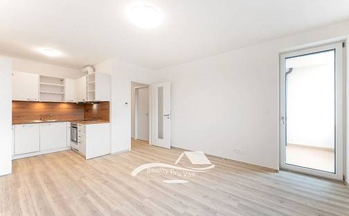 Pronájem bytu 2+kk 54 m², Jižní, Brno - Horní Heršpice