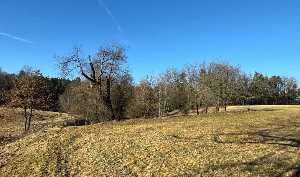Prodej stavebního pozemku 3 022 m², Doudleby – náhled fotky 2
