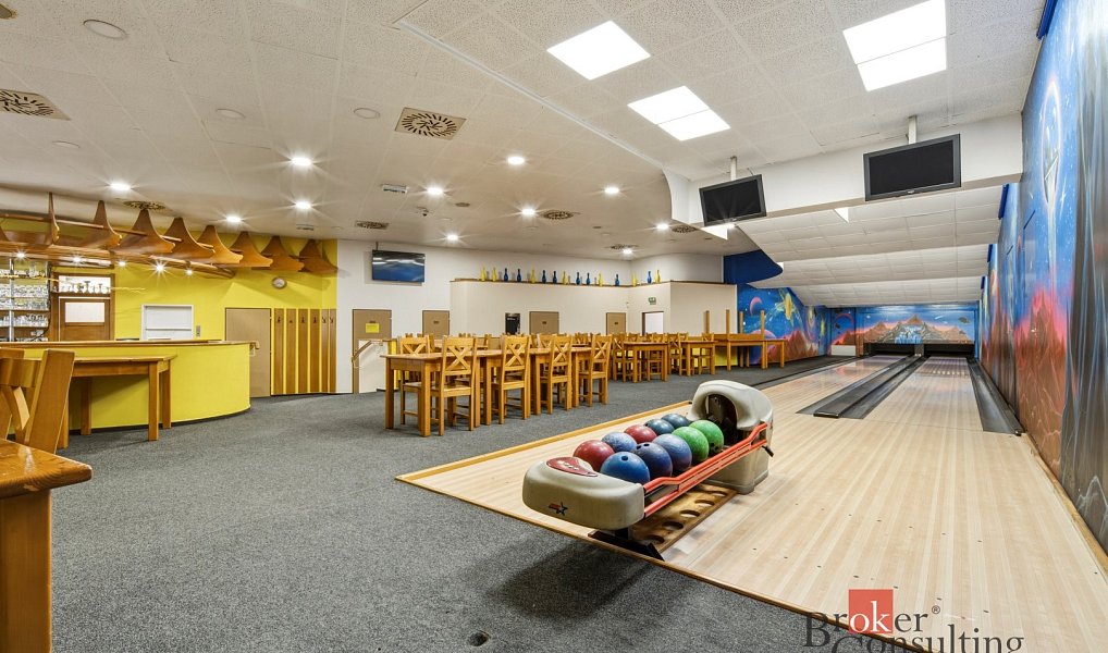 Prodej komerčního objektu (jiného typu) 1 359 m², Nový Bydžov – náhled fotky 12