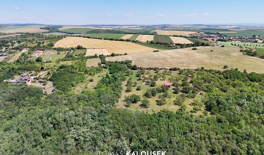 Prodej pozemku 2 107 m², Dolní Kounice – náhled fotky 6