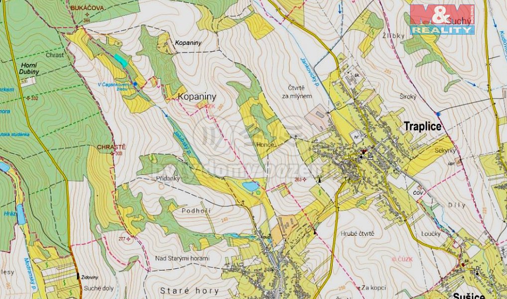 Prodej lesa 5 007 m², Traplice – náhled fotky 5