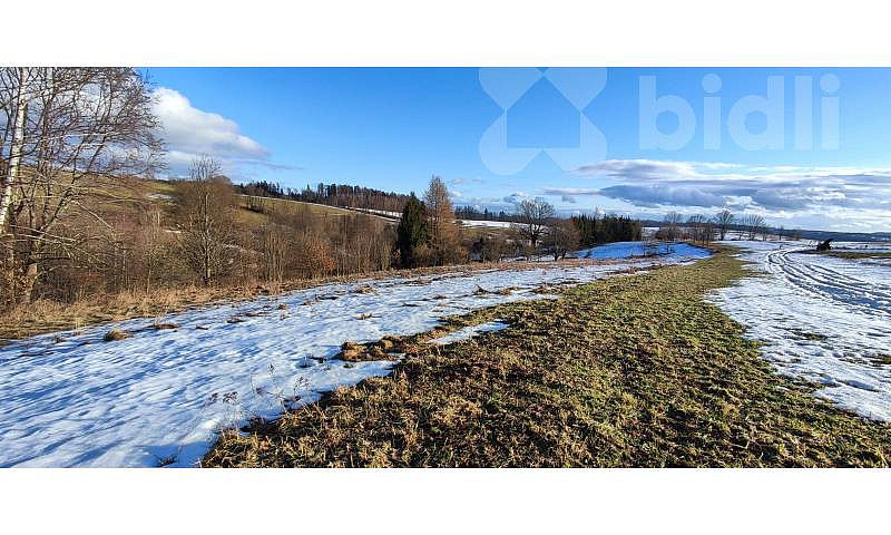 Prodej louky 3 998 m²