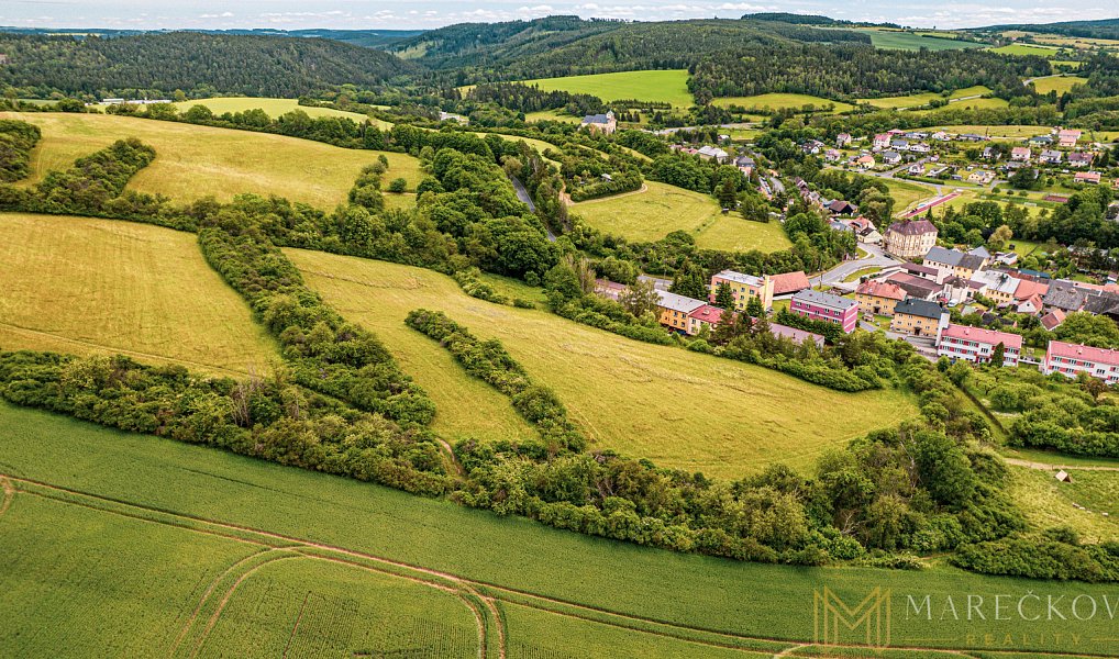 Prodej louky 20 969 m², Manětín – náhled fotky 3
