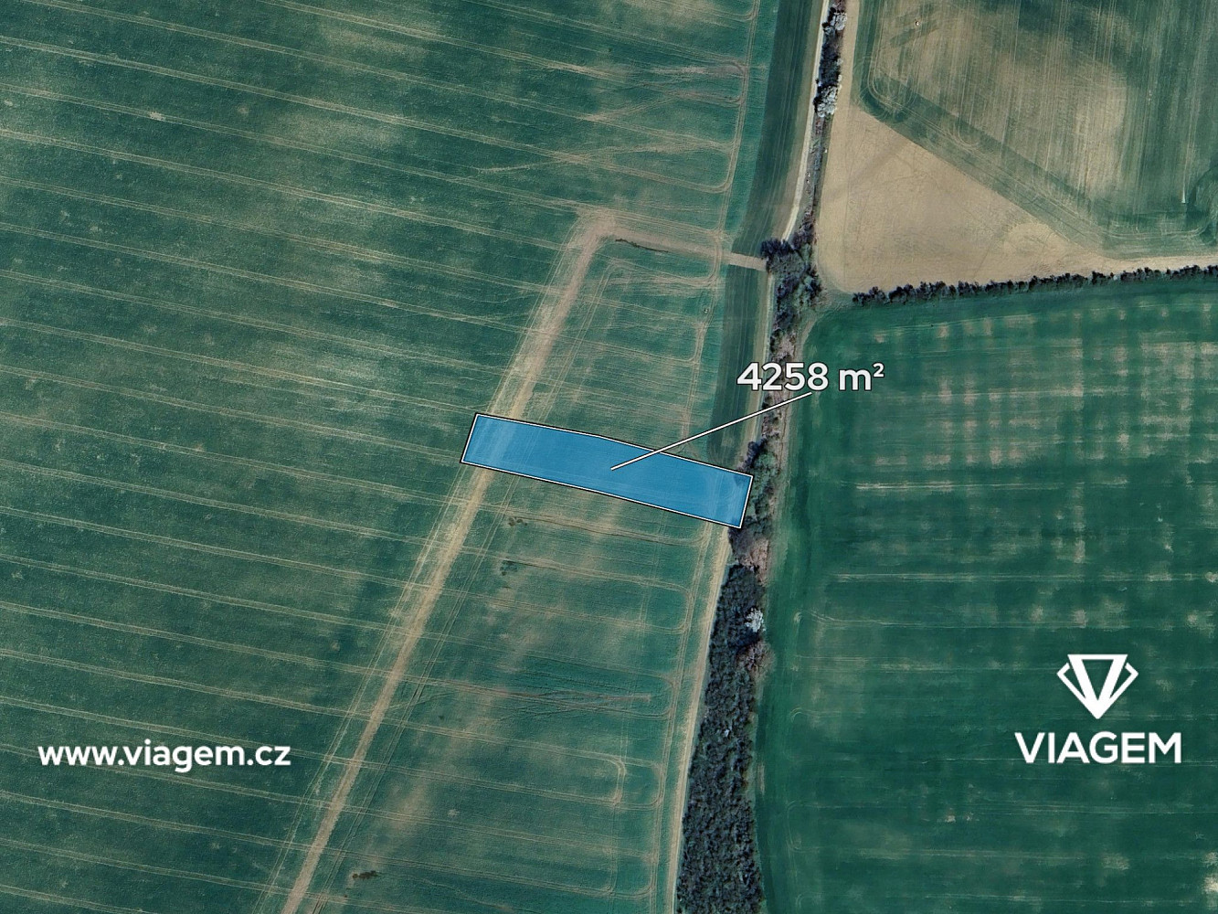 Pole 4 258 m², Podíl 50 % o výměře 2 129 m² – pohled 2