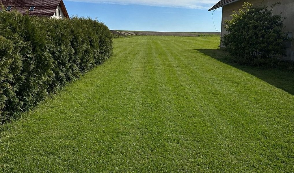 Prodej stavebního pozemku 3 091 m², Horní Ředice – náhled fotky 4