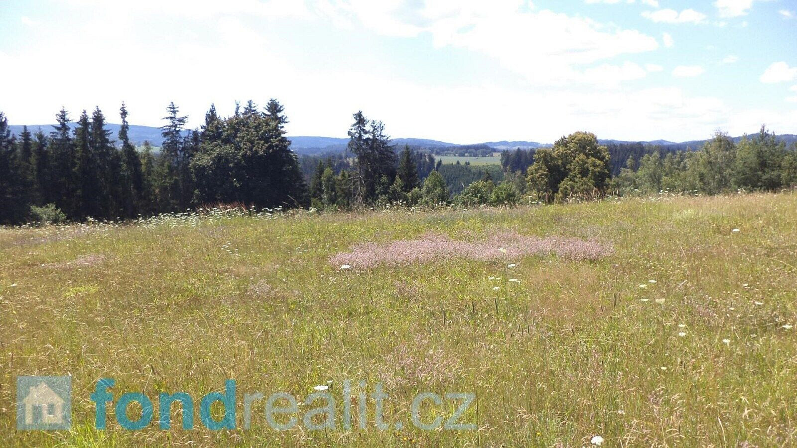 Prodej pole 13 471 m² – fotografie 2