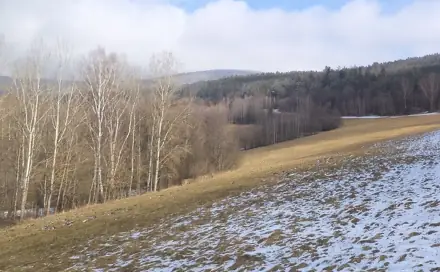 Dražba louky 10 344 m², Chvalšiny