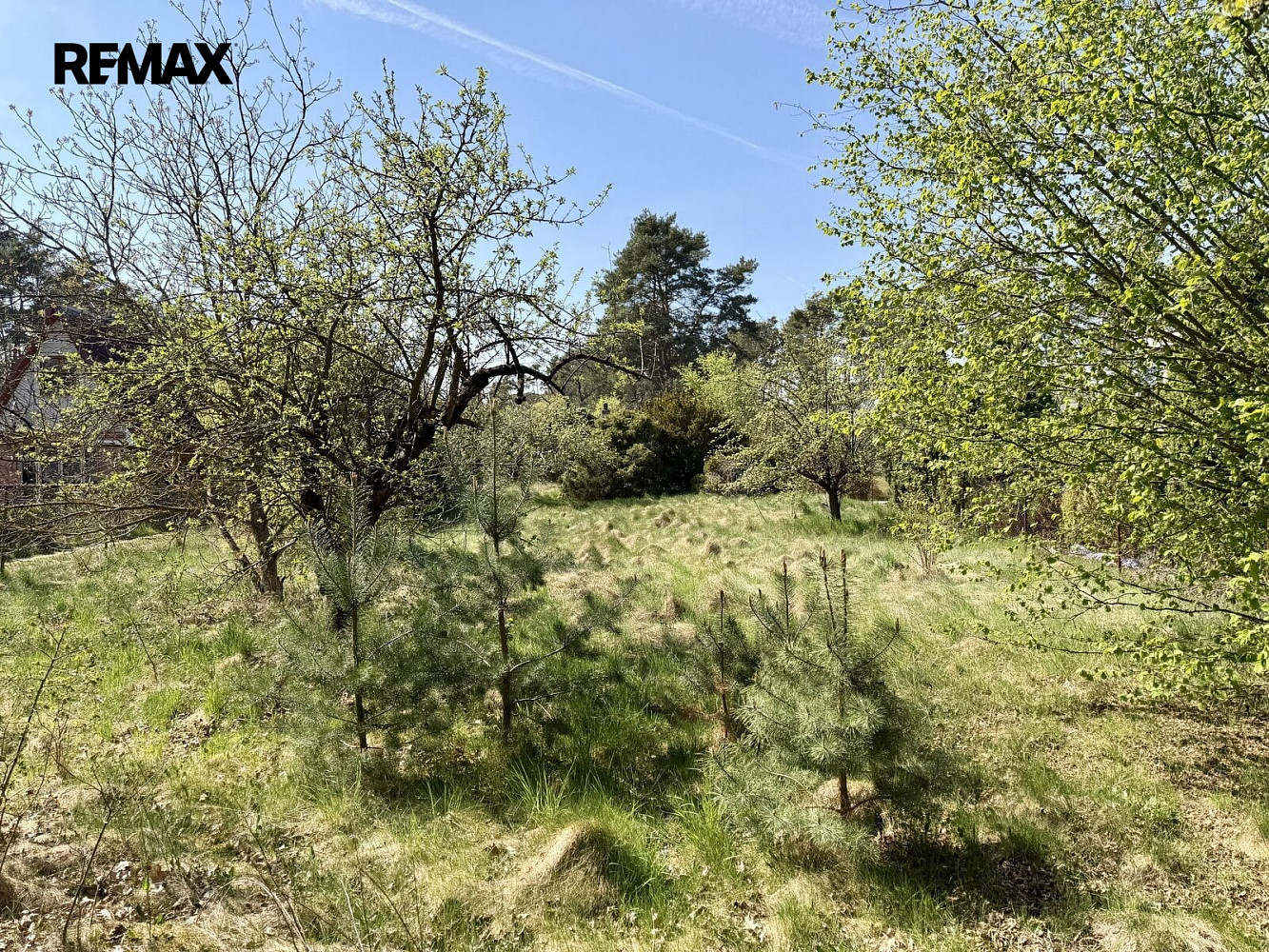 Prodej stavebního pozemku 2 196 m² – fotografie 5