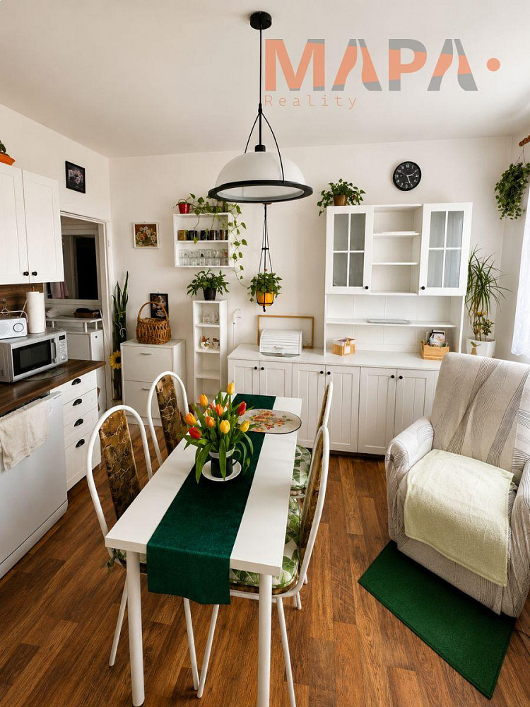 Pronájem bytu 1+1 40 m² – fotografie 3