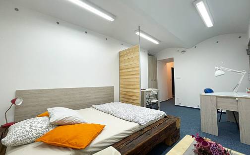 Pronájem bytu 1+kk 27 m², Křížová, Brno - Staré Brno