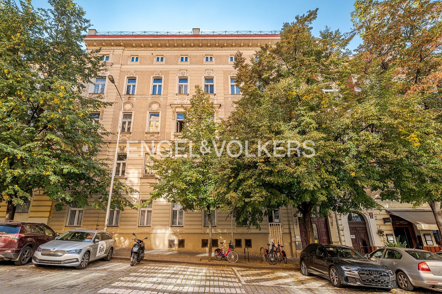 Pronájem obchodních prostor 155 m²