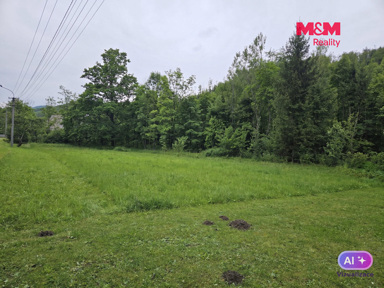 Prodej louky 2 079 m² – fotografie 3