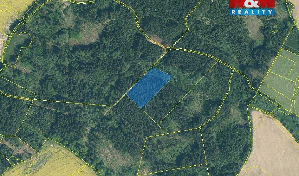 Prodej lesa 154 293 m², Milevsko – náhled fotky 3