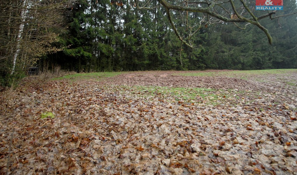 Prodej pole 2 465 m², Lomnice nad Popelkou – náhled fotky 9