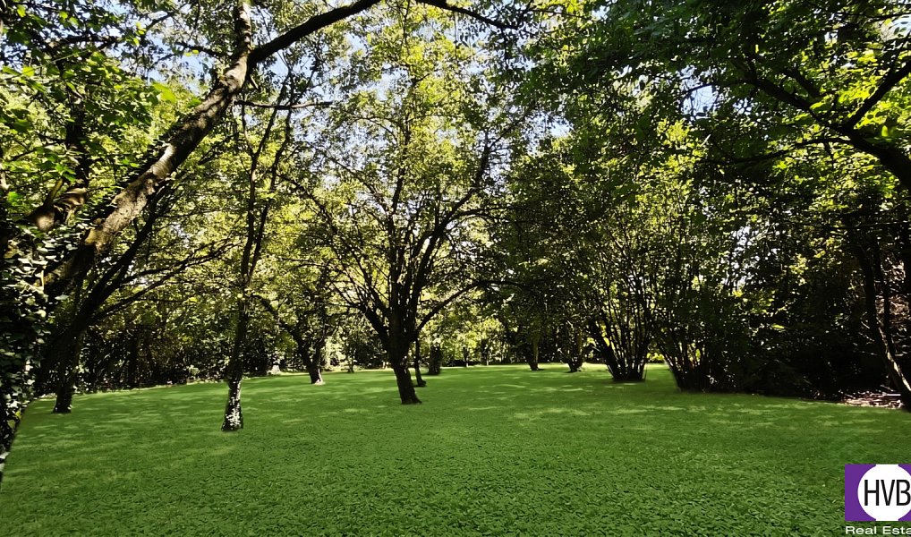 Prodej domu 105 m² s pozemkem 3 600 m², Suchdol – náhled fotky 6