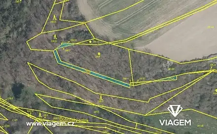 Prodej lesa 306 m², Kaceřov, okres Plzeň-sever