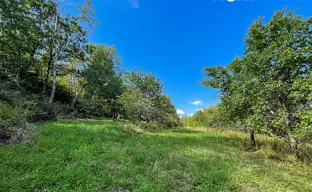Prodej pozemku 3 223 m², Lhenice - Třebanice, okres Prachatice