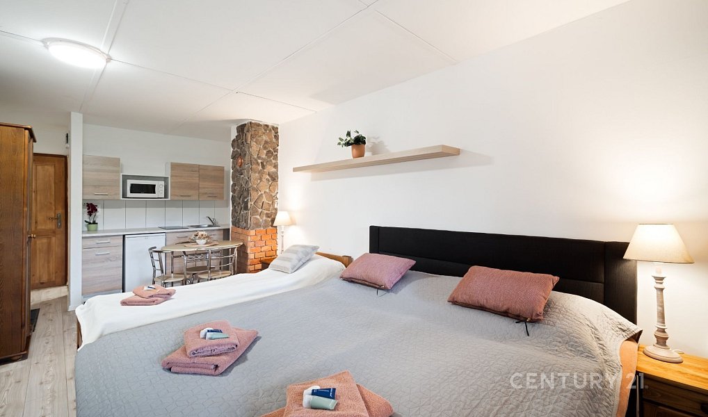 Prodej ubytovacího objektu 350 m², Bítov – náhled fotky 5