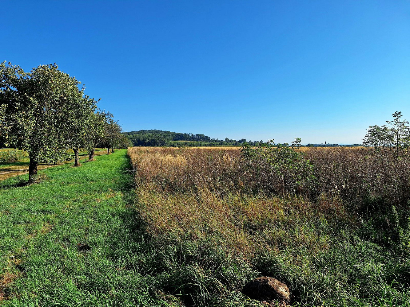 Prodej pole 140 145 m² – pohled 5